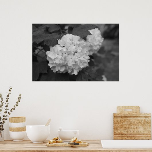 Snowball in de lente poster (Keuken)