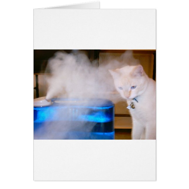"Snowball in the Mist" (Voorkant)