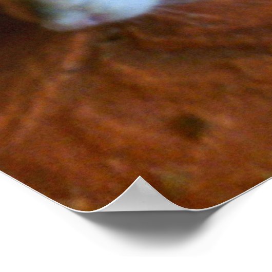 Snowball Rat Poster (Hoek)