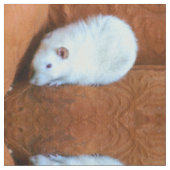 Snowball White Fancy PET Rat Patterned Fabric Stof (Close Up)