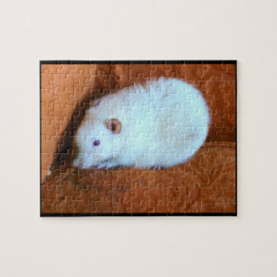 Snowball White Rat Puzzle Legpuzzel