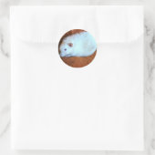 Snowball White Rat Sticker (Tas)