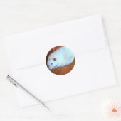 Snowball White Rat Sticker (Envelop)