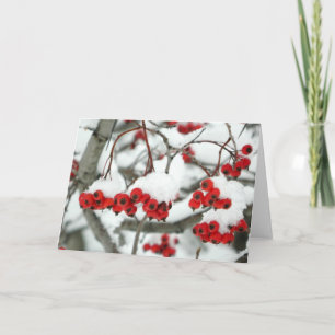 Snowberries Wenskaart Kaart