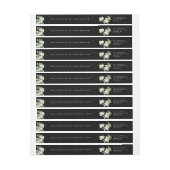 Snowberry + Eucalyptus Holiday Return Address (Vel)