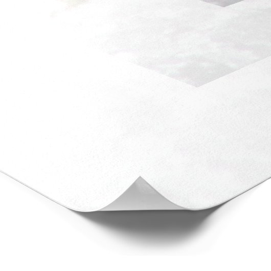 Snowbird 01 poster (Hoek)