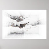 Snowbird 01 poster (Voorkant)