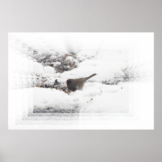 Snowbird 01 poster (Voorkant)