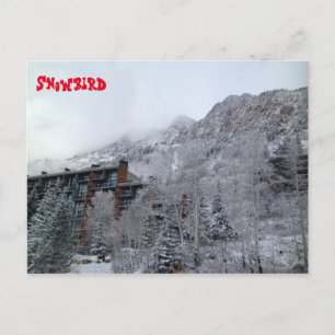 Snowbird Briefkaart