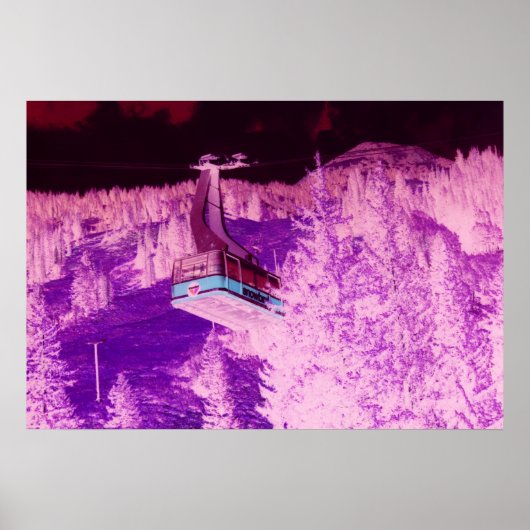 Snowbird Dream Poster (Voorkant)