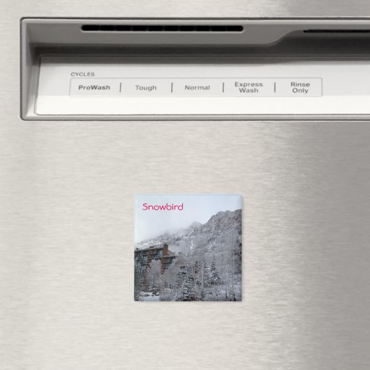 Snowbird Magneet (Insitu (Vaatwasser))