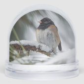 Snowbird Snow Wereldbol Sneeuwbol (Voorkant)