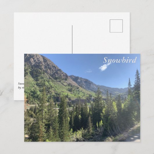 Snowbird - zomer briefkaart (Voorkant / Achterkant)