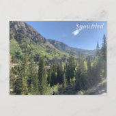 Snowbird - zomer briefkaart (Voorkant)