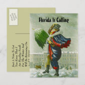 SNOWBIRD'S ANNOUNCEMENT WINTER ADDRESS BRIEFKAART (Voorkant / Achterkant)