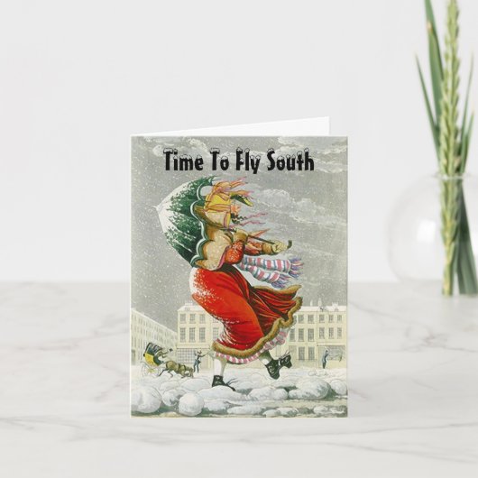 SNOWBIRDS DE KAARTEN VAN HET ADRES VAN DE WINTER (Voorkant)
