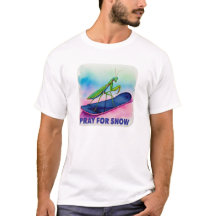 Snowboard bidsprinkhaan bidden voor sneeuw insect