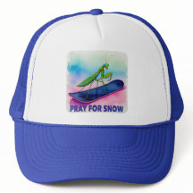 Snowboard bidsprinkhaan bidden voor sneeuw insect