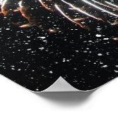 Snowboard Fireworks Stars Poster (Hoek)