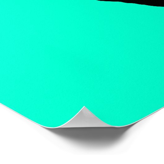 Snowboarder Poster (Hoek)