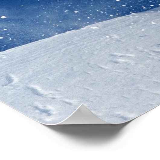 Snowboarding 8 poster (Hoek)