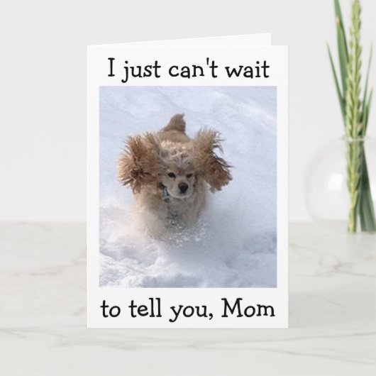 **SNOWBOUND COMEDIC DOG** VOOR MOM'S GROTE DAG KAART (Voorkant)