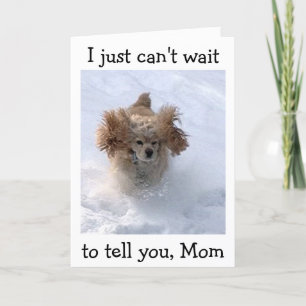 **SNOWBOUND COMEDIC DOG** VOOR MOM'S GROTE DAG KAART