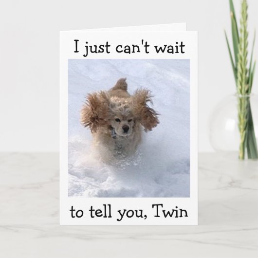 **SNOWBOUND COMEDIC DOG** VOOR TWEEDE MAANDAG KAART (Voorkant)
