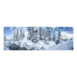 Snowbound Foto Afdruk