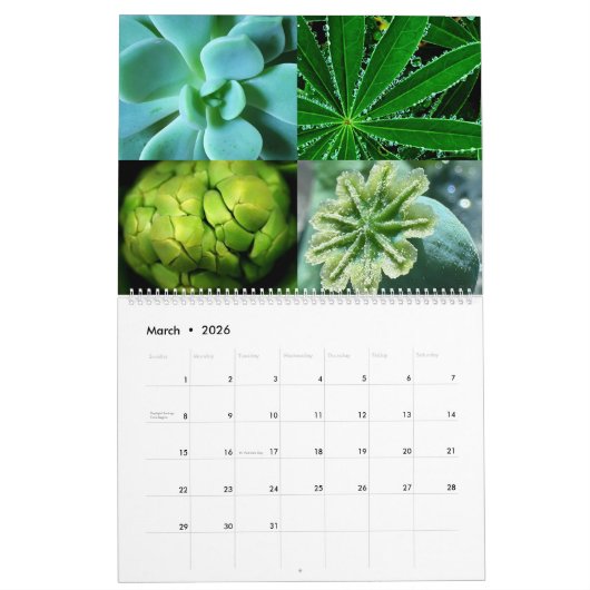 Snowcatcher 2026 Kalender (Mar 2026)