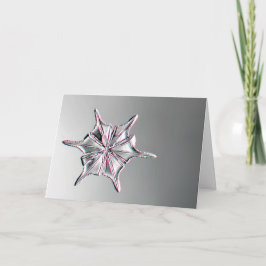 Snowcatcher Snowflake Greeting Card Kaart