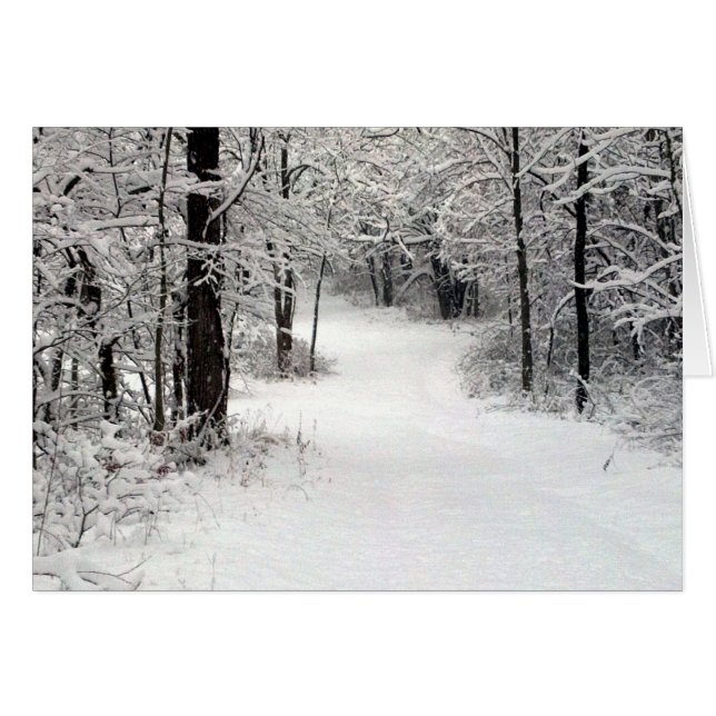 Snowcrusted field in Vermont IL (Voorkant Horizontaal)