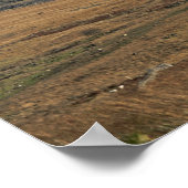 Snowden North Wales Briefkaart Poster (Hoek)