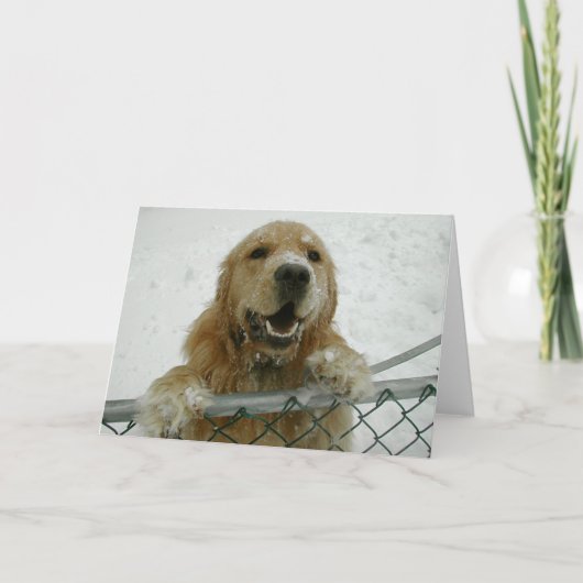 Snowdog Kaart (Voorkant)