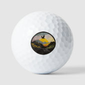 Snowdonia Golfballen (Voorkant)