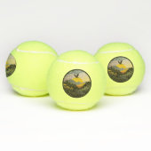 Snowdonia Tennisballen (Multi)