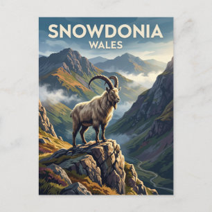Snowdonia Wales Briefkaart