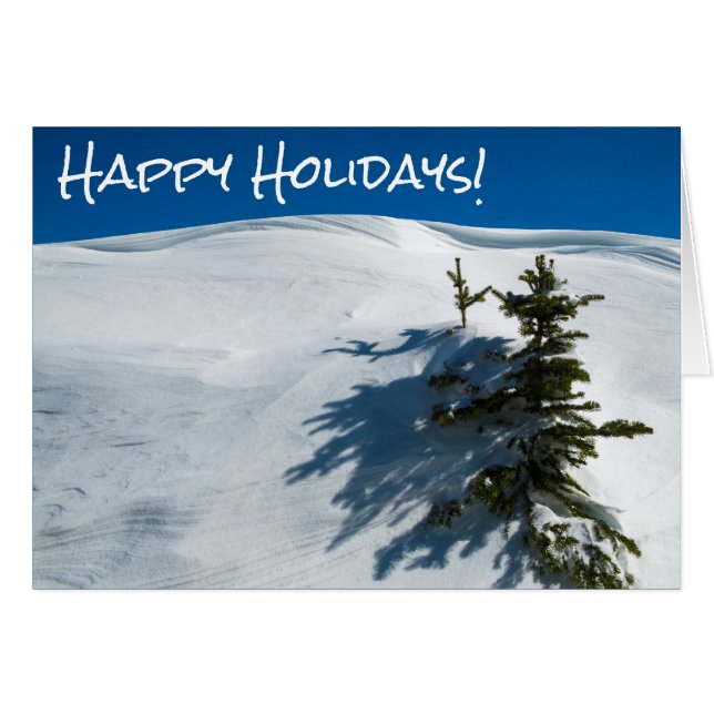 Snowdrift-pijnboom (Voorkant Horizontaal)