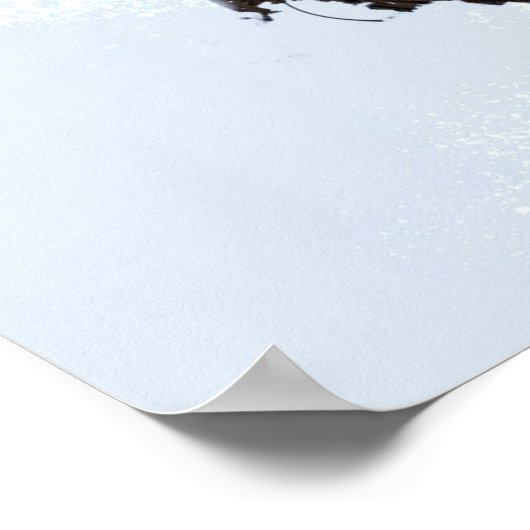 Snowdrift Poster Print Wall Art (Hoek)
