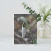 Snowdrop briefkaart (Staand voorkant)