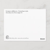 Snowdrop briefkaart (Achterkant)