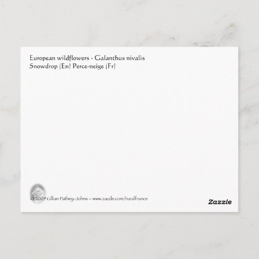 Snowdrop briefkaart (Achterkant)
