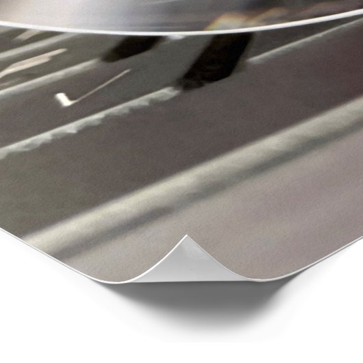 Snowdrop-brillen Poster (Hoek)