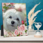 Snowdrop de Maltese Fotoplaat (Zijkant)