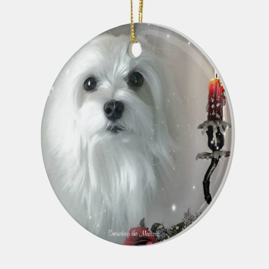 Snowdrop de Maltese Keramisch Ornament (Links)