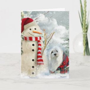 Snowdrop de Maltese kerstkaart Feestdagen Kaart