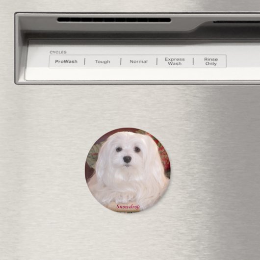 Snowdrop de Maltese Magneet (Insitu (Vaatwasser))