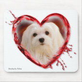 Snowdrop de Maltese Muismat (Voorkant)