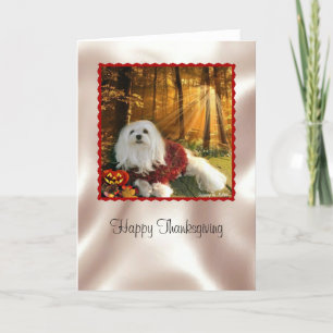 Snowdrop de Maltese Thanksgiving Card Feestdagen Kaart