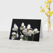 Snowdrop Flower Wenskaarten Kaart (Gele Bloem)